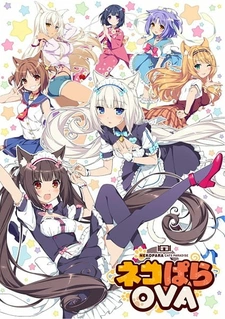 постер к аниме Кошачий рай OVA